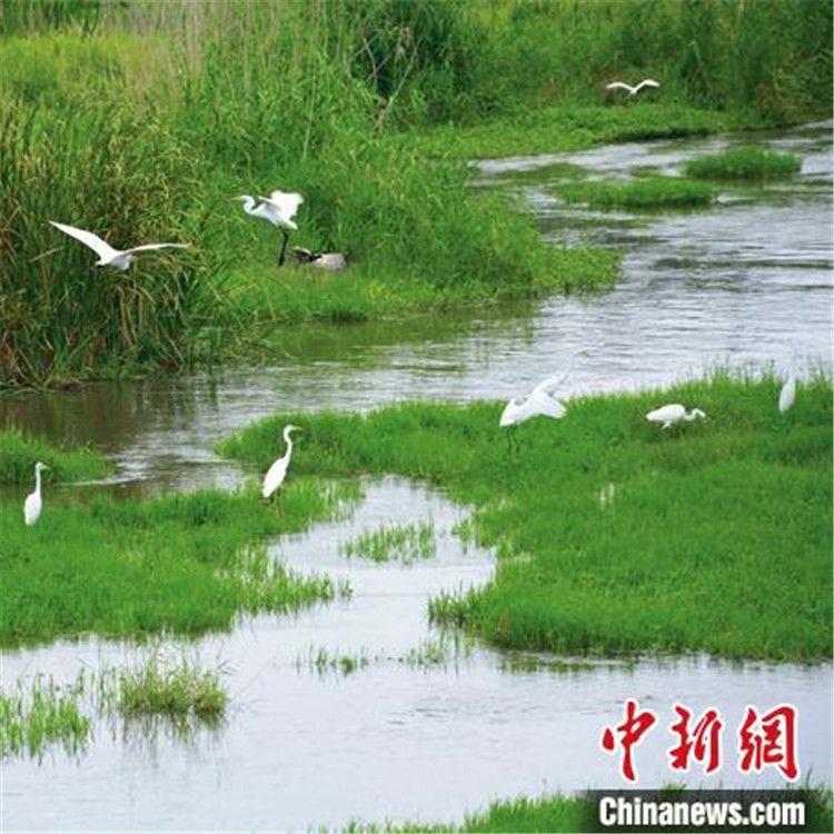 1687233254497670_副本.jpg