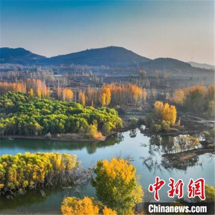 1687233283106123_副本.jpg