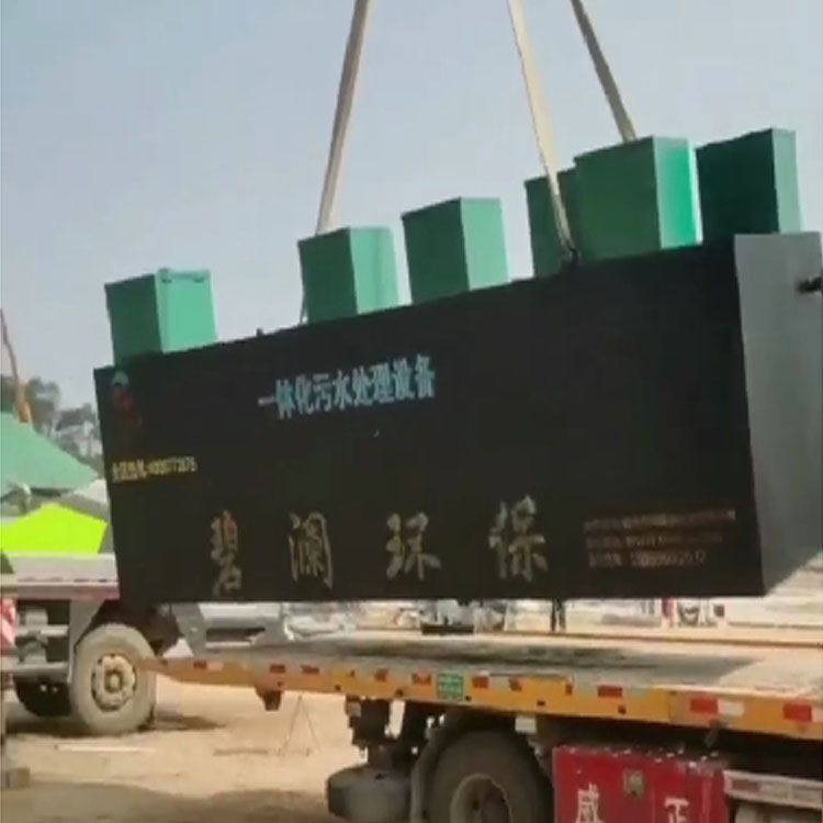 广东肇庆德庆站光伏发电场污水处理设备5.5-1.5-2米一体化污水处理到货吊装就位