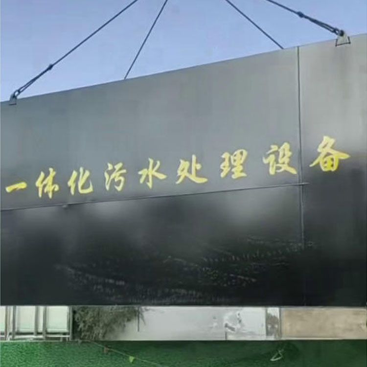 青海省海东市乐都区洪水镇卫生院6-2.5-3米一体化污水处理设备到货吊装就位